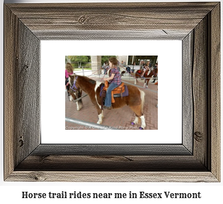 horse trail rides near me in Essex, Vermont